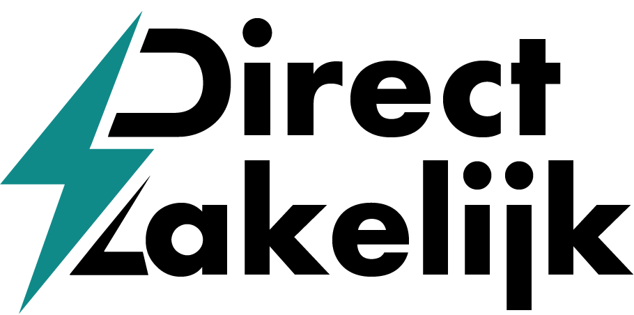 250112_Logo Directzakelijkenergie_sitekleur