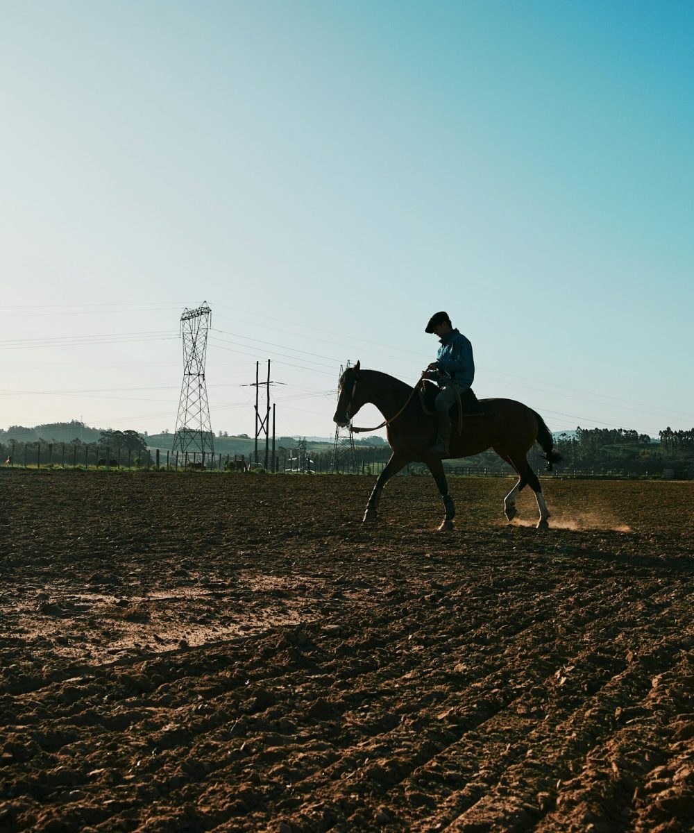 natalia-blauth-2s0Q1HuhdW0-unsplash natalia-blauth-2s0Q1HuhdW0-unsplash